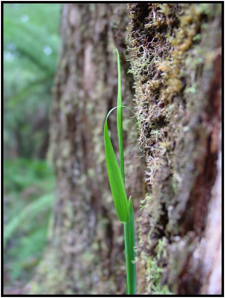The Art of Mini-Constellations & Rituals with Ekaterina Kosorukova