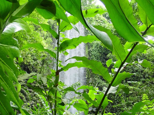 The Art of Mini-Constellations & Rituals with Ekaterina Kosorukova