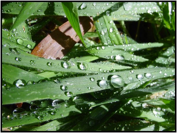 The Art of Mini-Constellations & Rituals with Ekaterina Kosorukova