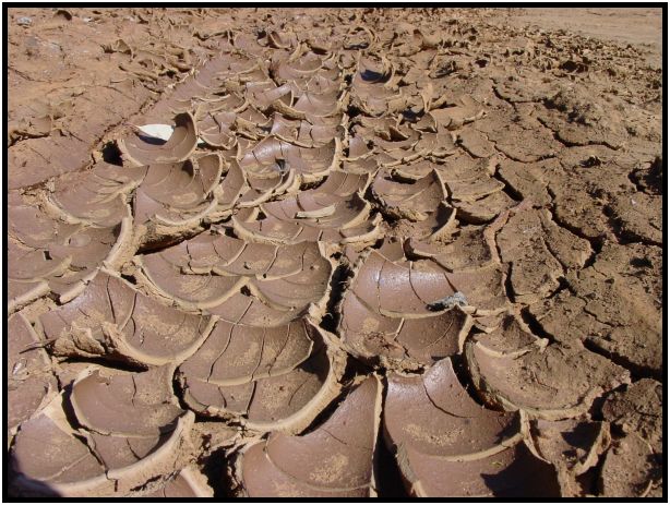 The Art of Mini-Constellations & Rituals with Ekaterina Kosorukova