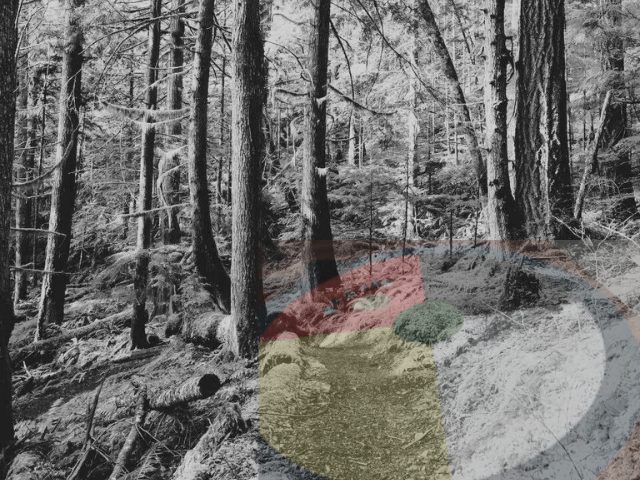 Shamanic Family Constellations with Ekaterina Kosorukova