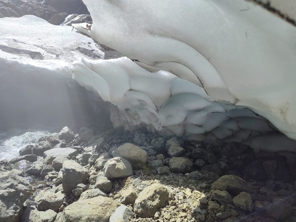 Shamanic Family Constellations with Ekaterina Kosorukova