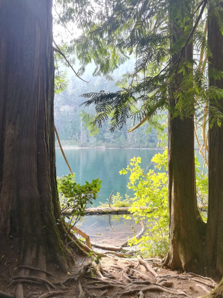 Shamanic Family Constellations with Ekaterina Kosorukova