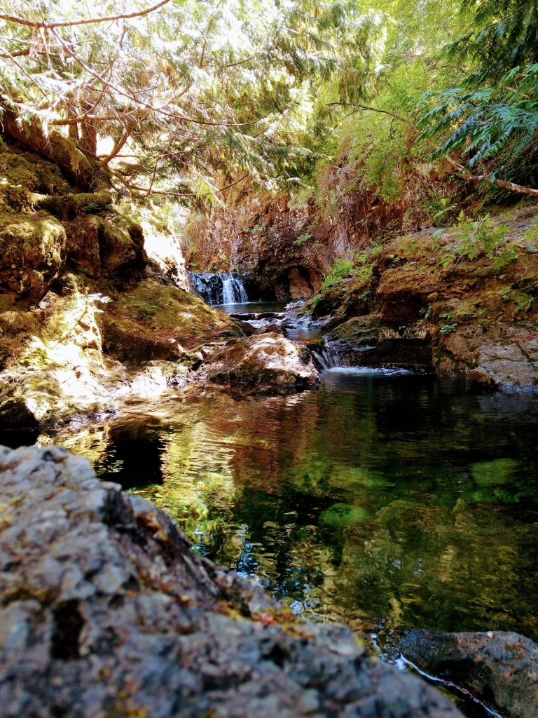 Shamanic Family Constellations with Ekaterina Kosorukova