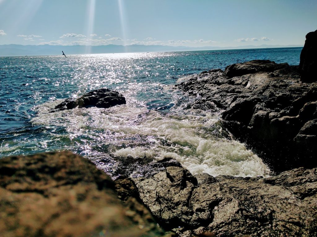 Shamanic Family Constellations with Ekaterina Kosorukova