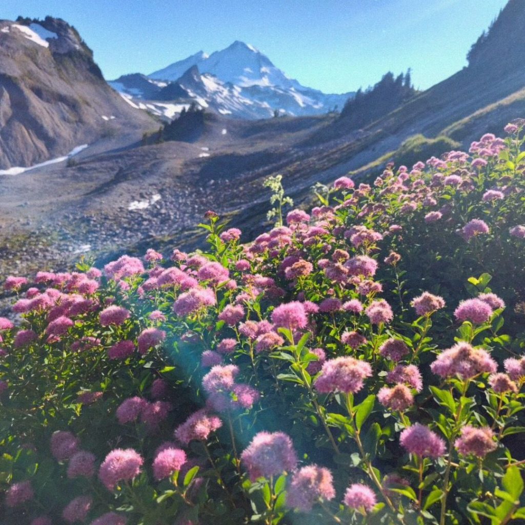 Shamanic Family Constellations with Ekaterina Kosorukova