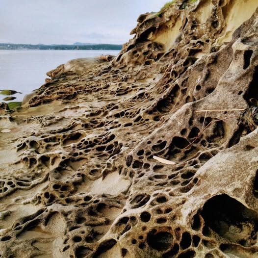 Shamanic Family Constellations with Ekaterina Kosorukova